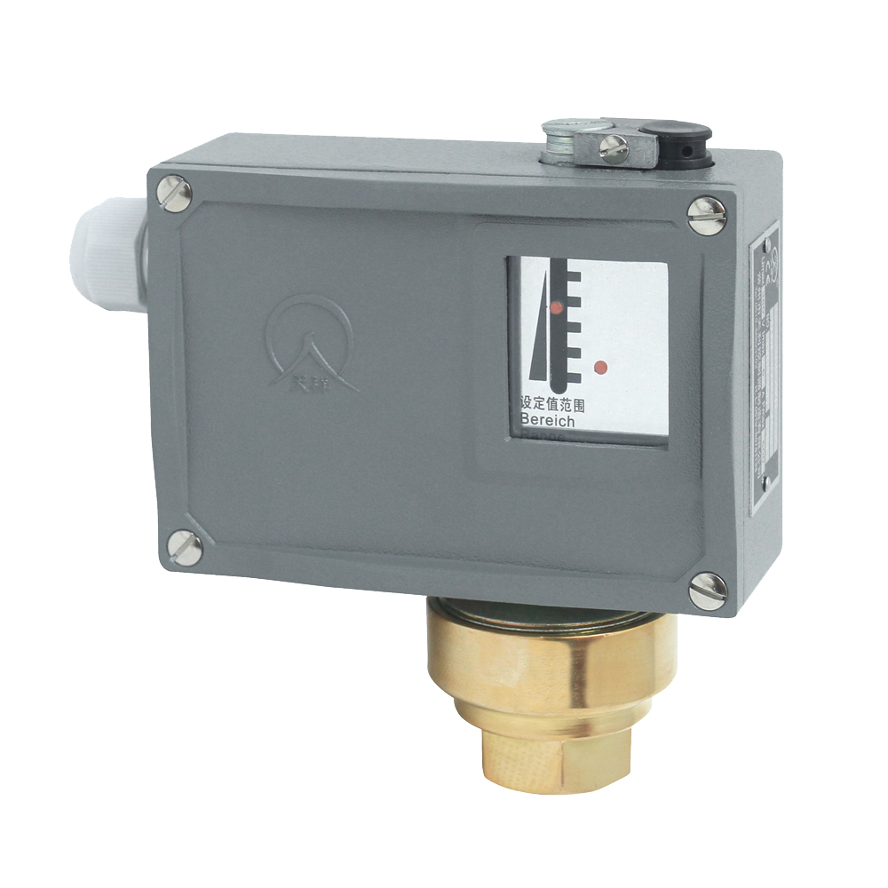 502/7D壓力開關 502/7D壓力開關