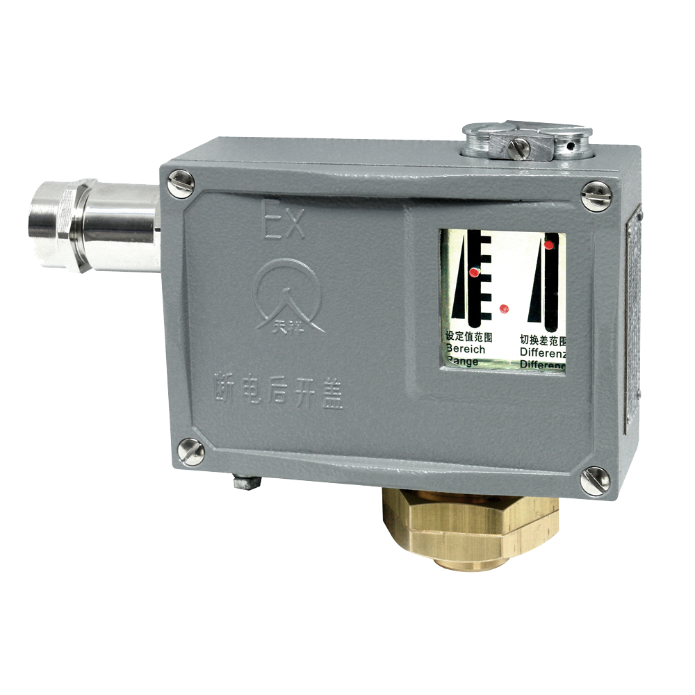500/7D防爆型壓力開(kāi)關(guān) 500/7D防爆型壓力開(kāi)關(guān)